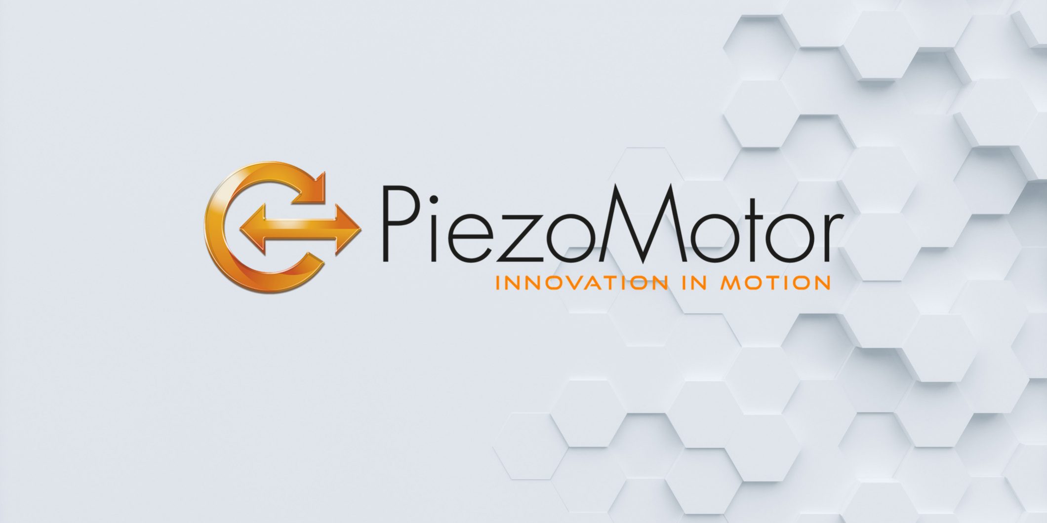 piezo motor logo poly background